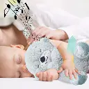258.webp