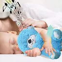 261.webp