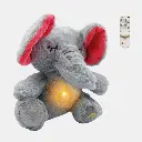 269.webp