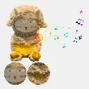 274.webp