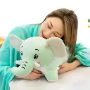 308.webp