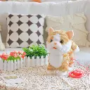 15.webp