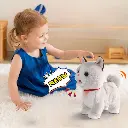 19.webp