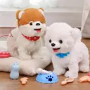 26.webp