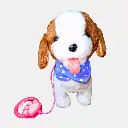 31.webp