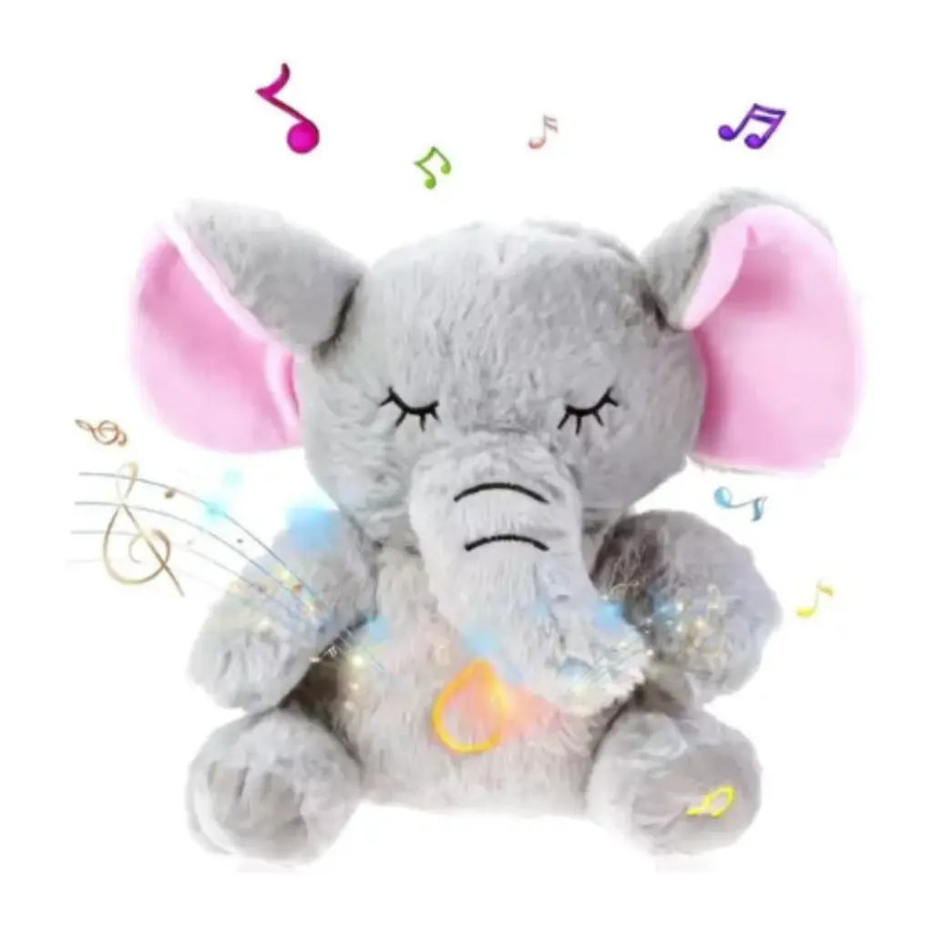19.webp