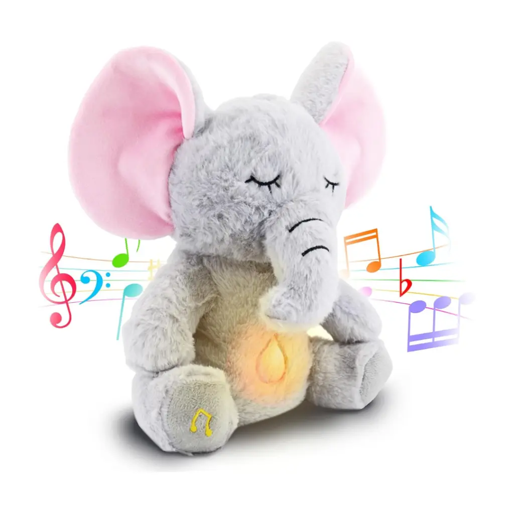 20.webp