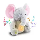 20.webp