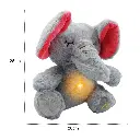 21.webp