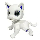 35.webp