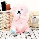 43.webp