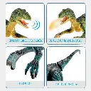 160.webp