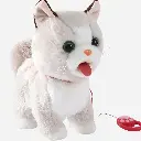 Gato Premium musical Beige