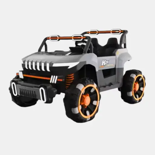 Carro Grande Rudicon para Niños Color Gris